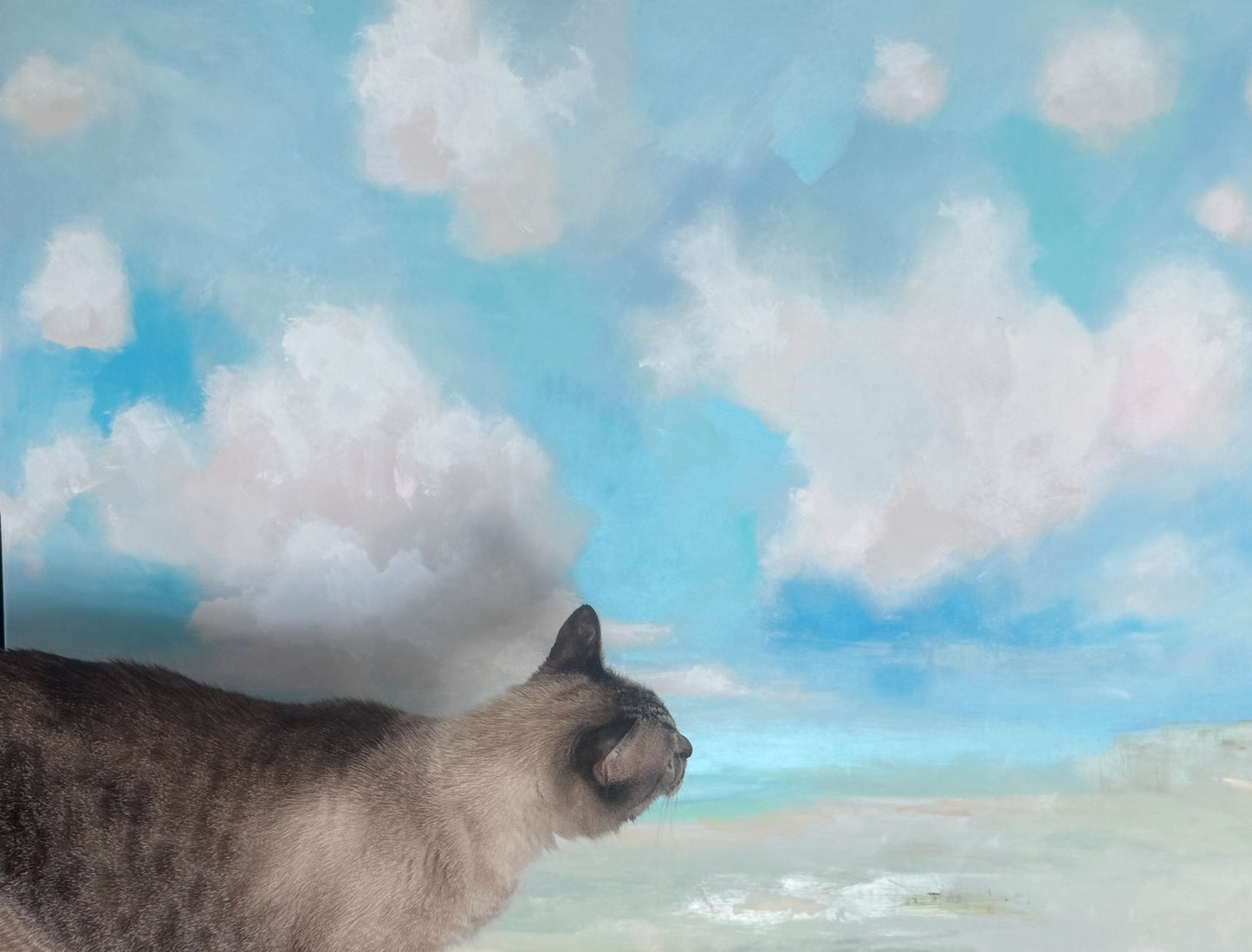 That Above the Clouds Feeling